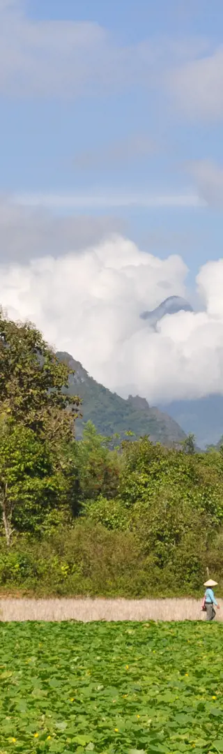 Karstberge um Vang Vieng